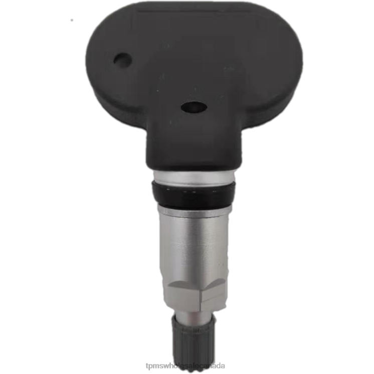 TPMS Canada - TPMS JIANGZING Tire Pressure Sensor JML391212060A0Q1 2FN8X1301